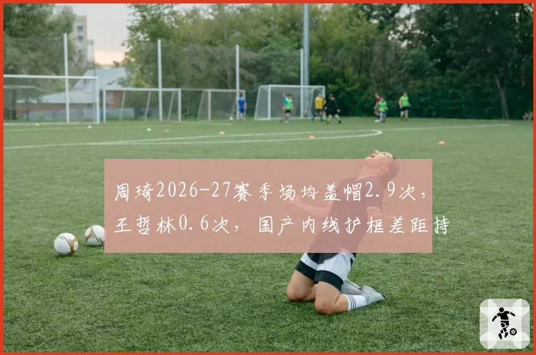 周琦2026-27赛季场均盖帽2.9次，王哲林0.6次，国产内线护框差距持续扩大