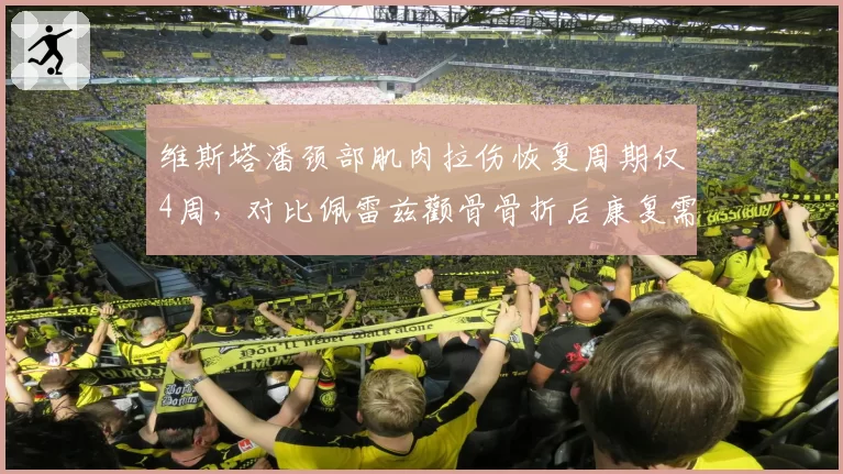 维斯塔潘颈部肌肉拉伤恢复周期仅4周，对比佩雷兹颧骨骨折后康复需8周相差一倍